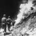 US Marines on an island