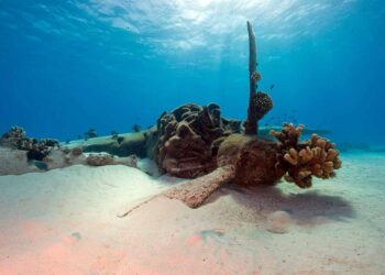 Wreckage of Japanese plane Aichi.