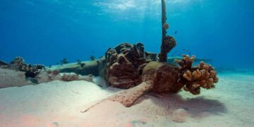 Wreckage of Japanese plane Aichi.