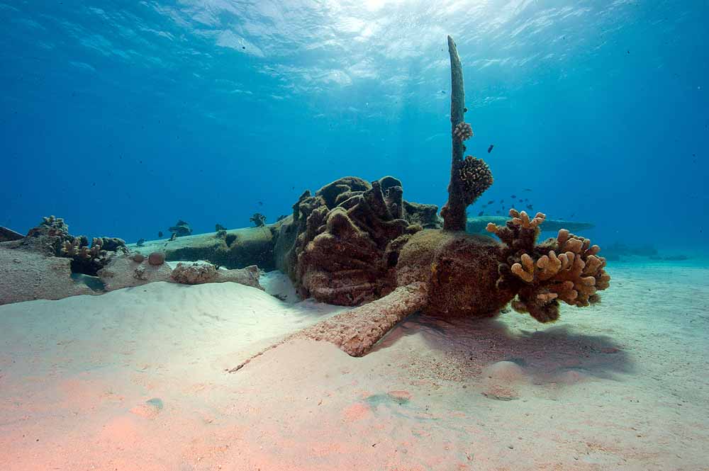 Wreckage of Japanese plane Aichi.